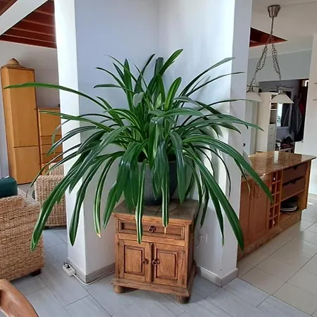 Hacha Grande Hébergement de vacances *