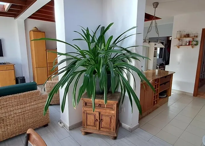 Hacha Grande Prázdninový dům *